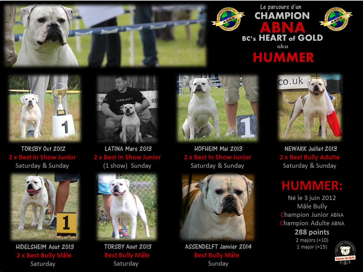 hummer ce champion !